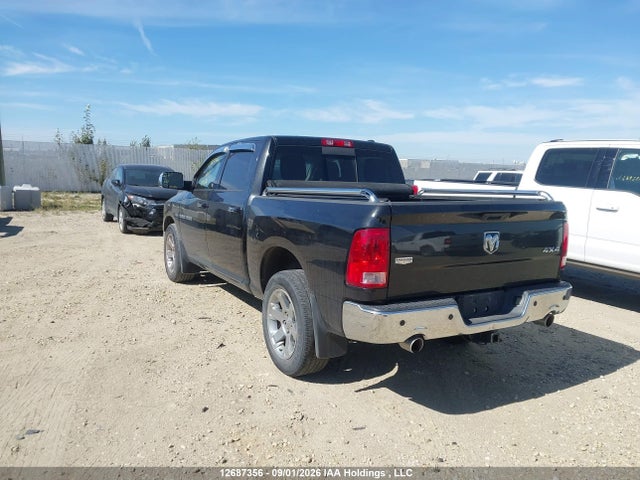 12687356 :رقم المزاد ، 1D7RV1CT8BS558664 vin ، 2011 Ram Ram 1500 Laramie مزاد بيع