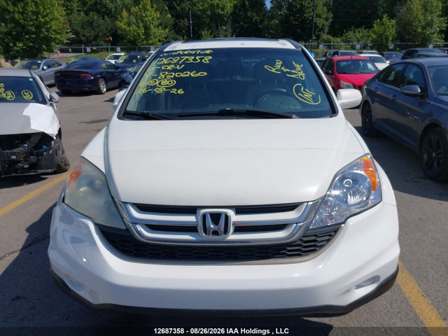 Продаж на аукціоні авто 2010 Honda Cr-v Ex, vin: 5J6RE4H51AL820260, номер лоту: 12687358