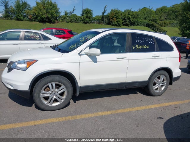 Продаж на аукціоні авто 2010 Honda Cr-v Ex, vin: 5J6RE4H51AL820260, номер лоту: 12687358