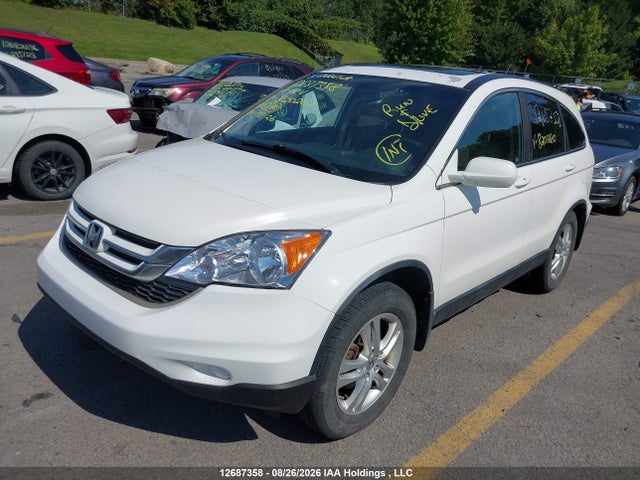 Продаж на аукціоні авто 2010 Honda Cr-v Ex, vin: 5J6RE4H51AL820260, номер лоту: 12687358
