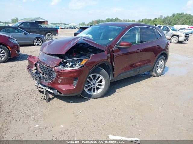 12687404 :رقم المزاد ، 1FMCU9G6XMUA75587 vin ، 2021 Ford Escape Se مزاد بيع