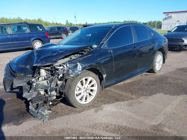12687463 :رقم المزاد ، 4T1G11AKXRU193759 vin ، 2024 Toyota Camry Se مزاد بيع