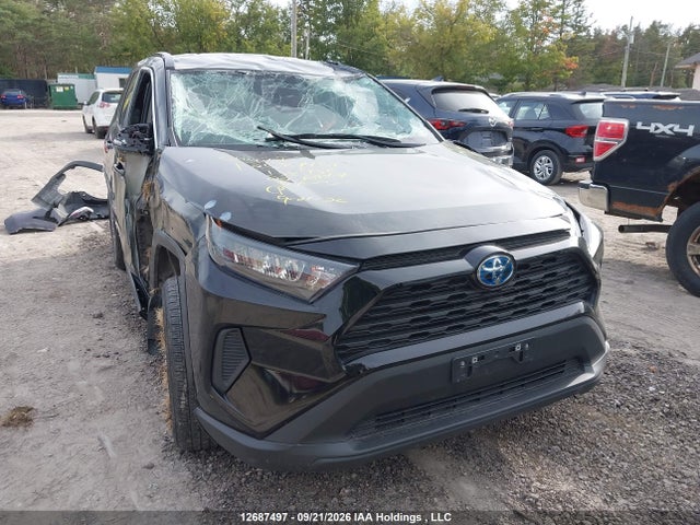 2T3BWRFV1NW138955 Toyota Rav4 Hybrid Le