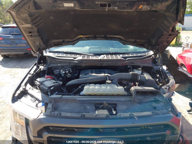Ford F150 Supercrew 2023 1FTFW1E89PFA11065 Image 10