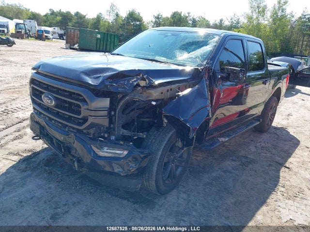 Ford F150 Supercrew 2023 1FTFW1E89PFA11065 Image 2