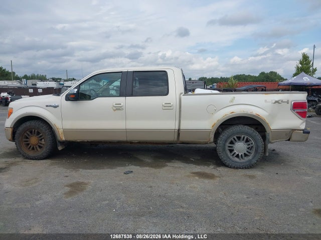 Продаж на аукціоні авто 2009 Ford F150 Supercrew, vin: 1FTPW14V79KC69512, номер лоту: 12687538