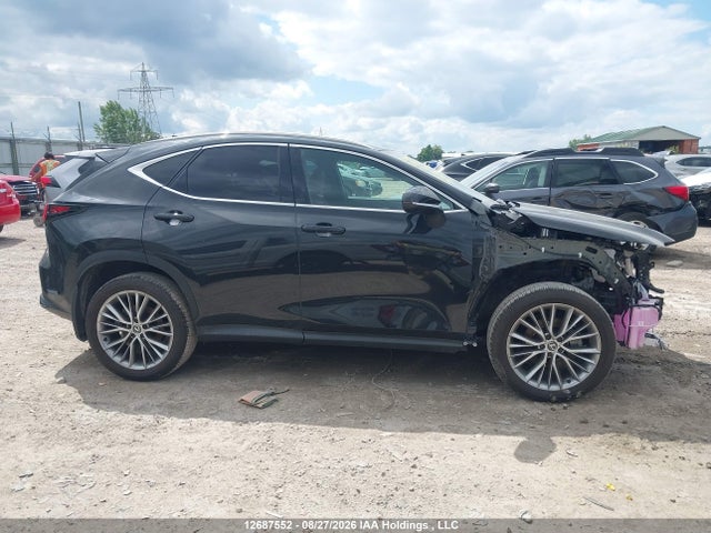 Lexus Nx 350h 350h 2025 2T2GKCEZ7SC035902 Image 14