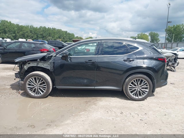 Lexus Nx 350h 350h 2025 2T2GKCEZ7SC035902 Image 15