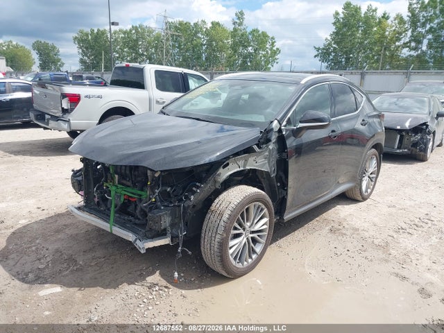 12687552 :رقم المزاد ، 2T2GKCEZ7SC035902 vin ، 2025 Lexus Nx 350h 350h مزاد بيع