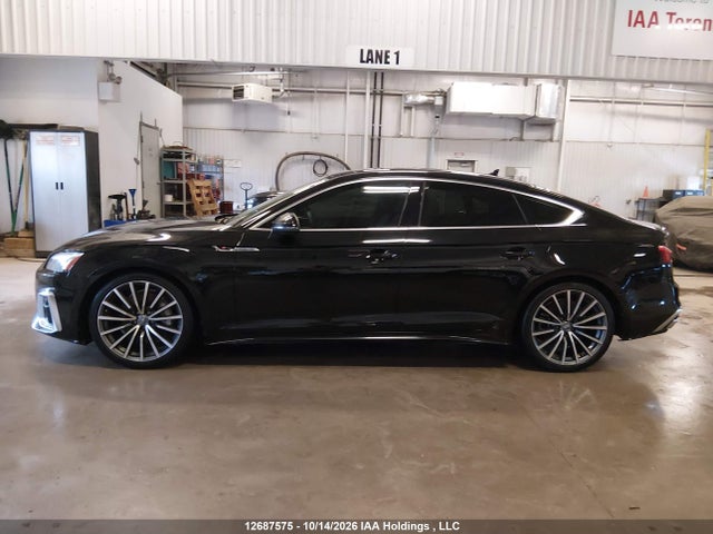 12687575 :رقم المزاد ، WAUFNCF58LA005684 vin ، 2020 Audi A5 Progressiv مزاد بيع