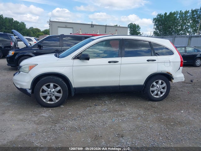 12687589 :رقم المزاد ، 5J6RE3H38AL800063 vin ، 2010 Honda Cr-v Lx مزاد بيع