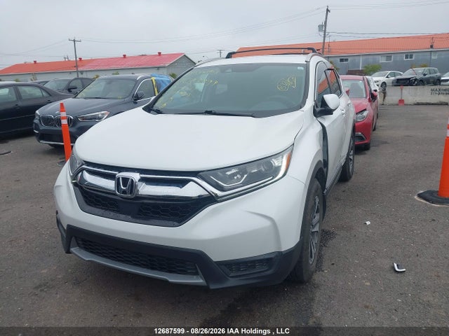 Auction sale of the 2019 Honda Cr-v Lx, vin: 2HKRW2H25KH118963, lot number: 12687599