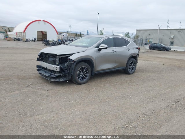 Lexus Nx 350h 350h 2024 2T2GKCEZ7RC022898 Image 2