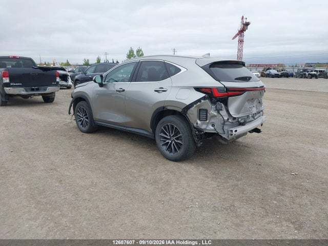 Lexus Nx 350h 350h 2024 2T2GKCEZ7RC022898 Image 3