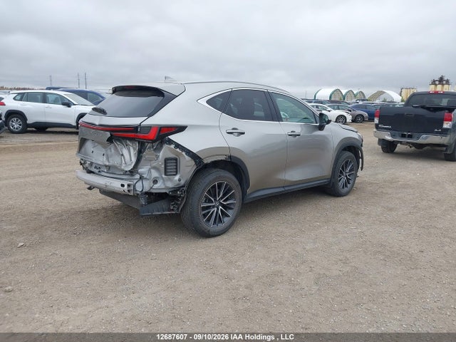 Lexus Nx 350h 350h 2024 2T2GKCEZ7RC022898 Image 4