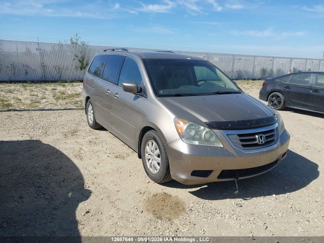 Продаж на аукціоні авто 2008 Honda Odyssey Ex-l, vin: 5FNRL38688B505788, номер лоту: 12687644