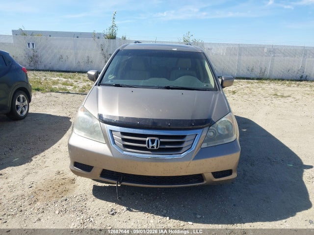 Продаж на аукціоні авто 2008 Honda Odyssey Ex-l, vin: 5FNRL38688B505788, номер лоту: 12687644