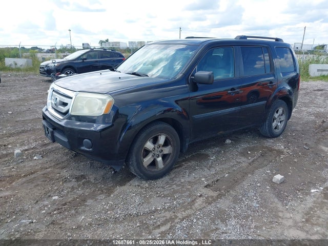 Продажа на аукционе авто 2011 Honda Pilot, vin: 5FNYF4H22BB502012, номер лота: 12687661