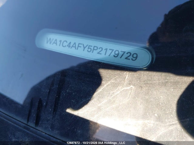Audi SQ5 2023 WA1C4AFY5P2179729 Image 19