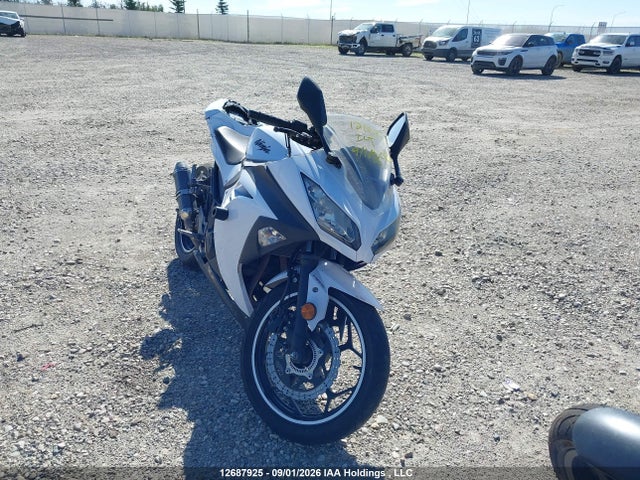 Kawasaki Ex300 B 2014 JKAEX8B1XEDA07315 Image 5