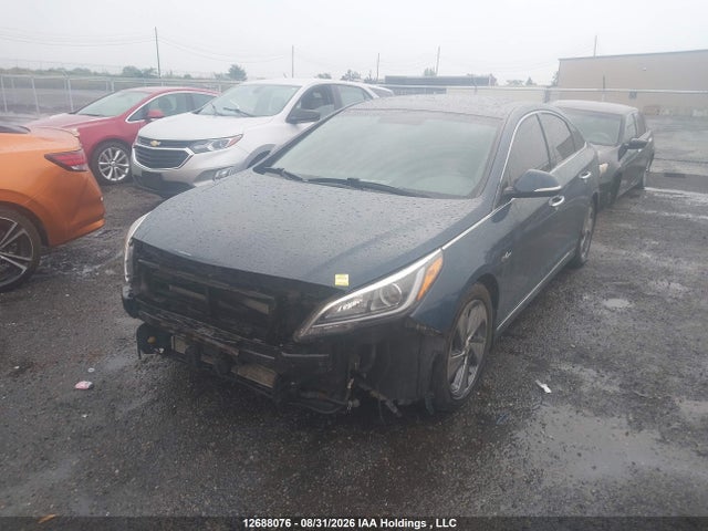 2016 Hyundai Sonata Hybrid Limited მანქანა იყიდება აუქციონზე, vin: KMHE34L19GA031546, აუქციონის ნომერი: 12688076