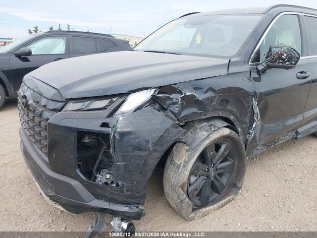 Hyundai Palisade 2024 KM8R3DGE7RU771841 Image 6
