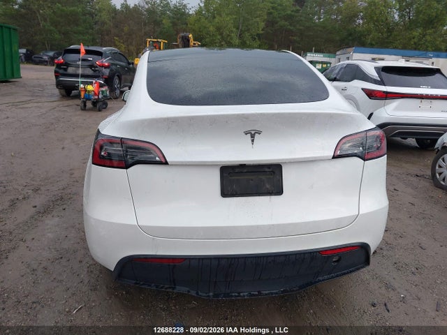 Продаж на аукціоні авто 2024 Tesla Model Y, vin: 7SAYGDED0RF992126, номер лоту: 12688228
