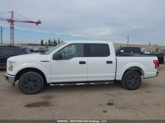 1FTEW1C84FFC54814 Ford F-150 Xlt