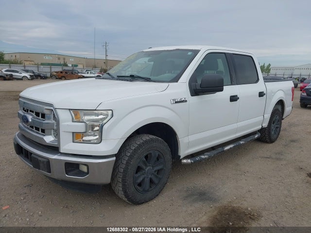 1FTEW1C84FFC54814 Ford F-150 Xlt