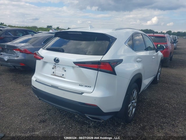 Продажа на аукционе авто 2019 Lexus Nx 300, vin: JTJBARBZ1K2184052, номер лота: 12688324