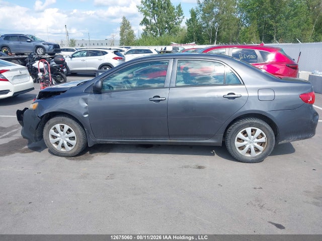 12675060 :رقم المزاد ، 2T1BU4EE9AC198092 vin ، 2010 Toyota Corolla Ce مزاد بيع