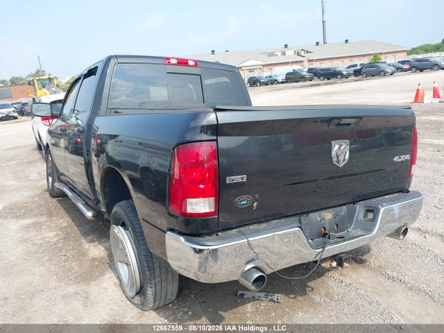 Продаж на аукціоні авто 2010 Dodge Ram 1500, vin: 1D7RV1CT9AS228403, номер лоту: 12667559