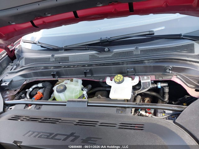 Ford Mustang Mach-e Premium 2025 3FMTK3SU6SMA29507 Image 10
