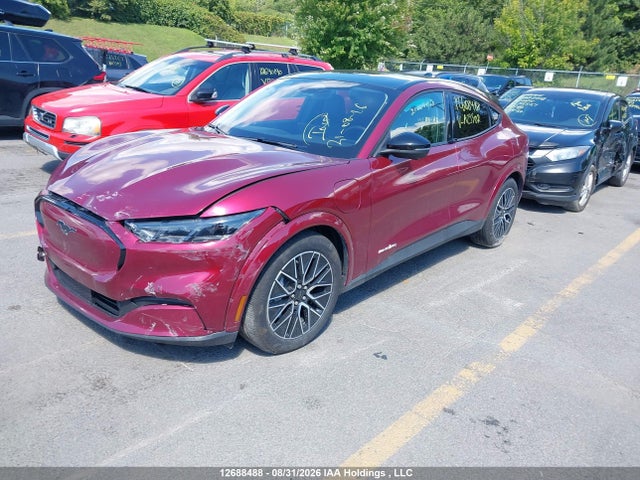 Ford Mustang Mach-e Premium 2025 3FMTK3SU6SMA29507 Image 2