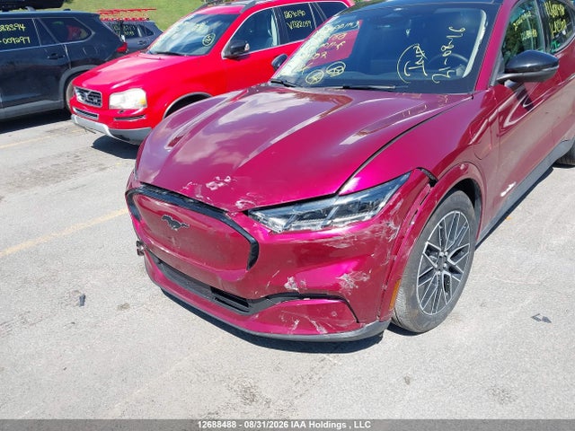 Ford Mustang Mach-e Premium 2025 3FMTK3SU6SMA29507 Image 6