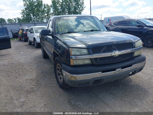 Продаж на аукціоні авто 2004 Chevrolet Silverado 1500 Ls, vin: 1GCEC14V44Z310064, номер лоту: 12688656