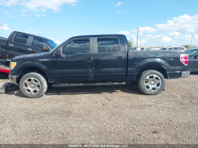 12688678 :رقم المزاد ، 1FTPW14V79FA59985 vin ، 2009 Ford F150 Supercrew مزاد بيع