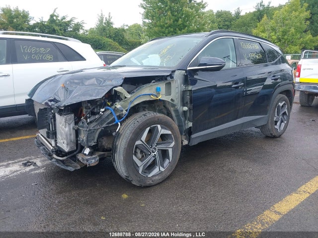 KM8JCCA14PU129507 Hyundai Tucson Luxury Hybrid Awd