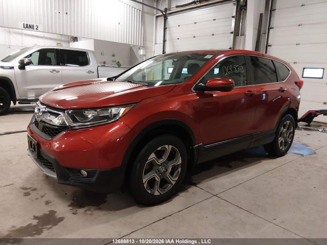 12688813 :رقم المزاد ، 2HKRW2H50KH141965 vin ، 2019 Honda Cr-v Ex مزاد بيع
