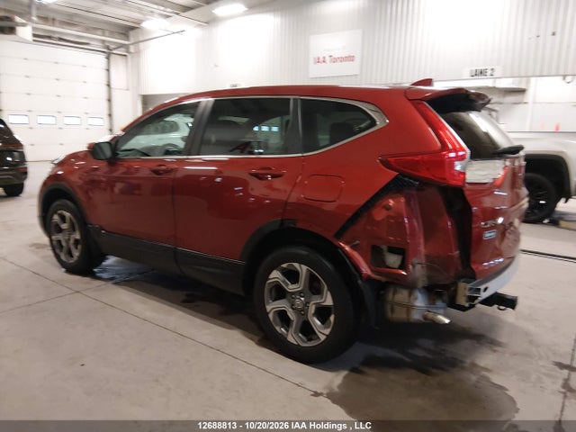 12688813 :رقم المزاد ، 2HKRW2H50KH141965 vin ، 2019 Honda Cr-v Ex مزاد بيع