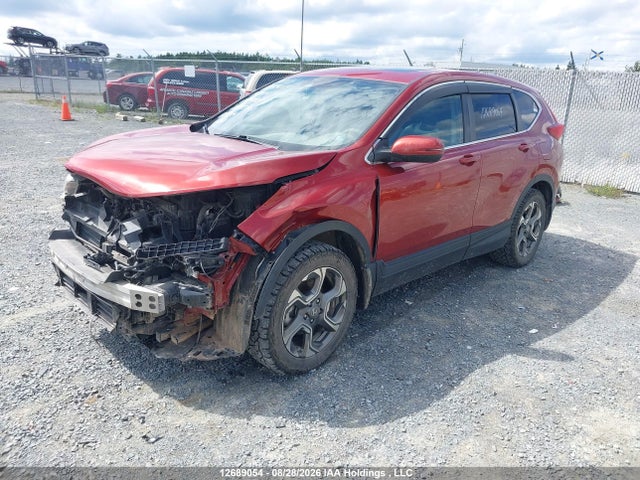 2HKRW2H86KH104008 Honda Cr-v Ex-l