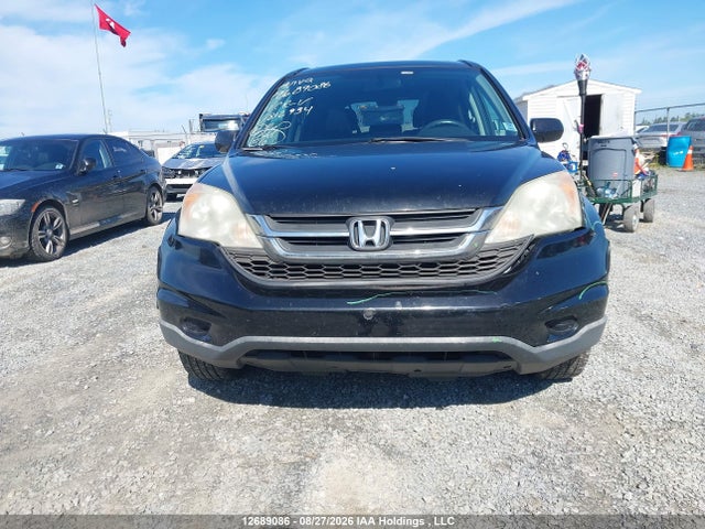 Aukcja sprzedaży 2011 Honda Cr-v, vin: 5J6RE4H58BL812934, numer aukcji: 12689086