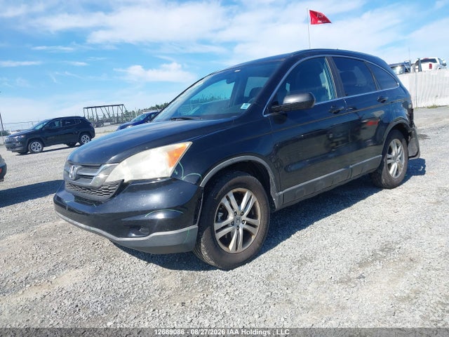 Aukcja sprzedaży 2011 Honda Cr-v, vin: 5J6RE4H58BL812934, numer aukcji: 12689086