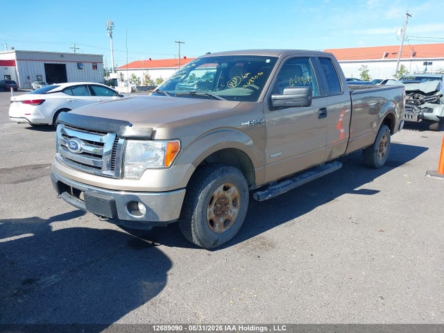 Продажа на аукционе авто 2011 Ford F-150, vin: 1FTVX1ETXBKE01024, номер лота: 12689090