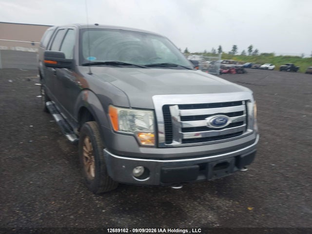 12689162 :رقم المزاد ، 1FTRW14809FA44182 vin ، 2009 Ford F150 Supercrew مزاد بيع