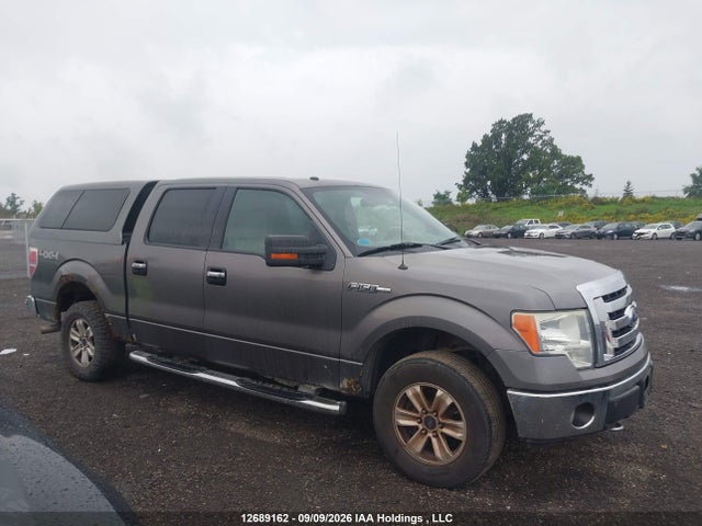 12689162 :رقم المزاد ، 1FTRW14809FA44182 vin ، 2009 Ford F150 Supercrew مزاد بيع