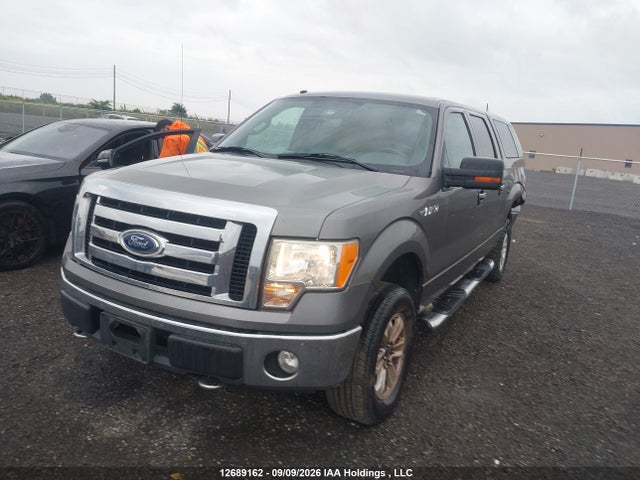 12689162 :رقم المزاد ، 1FTRW14809FA44182 vin ، 2009 Ford F150 Supercrew مزاد بيع