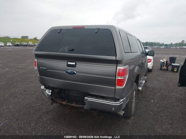 12689162 :رقم المزاد ، 1FTRW14809FA44182 vin ، 2009 Ford F150 Supercrew مزاد بيع