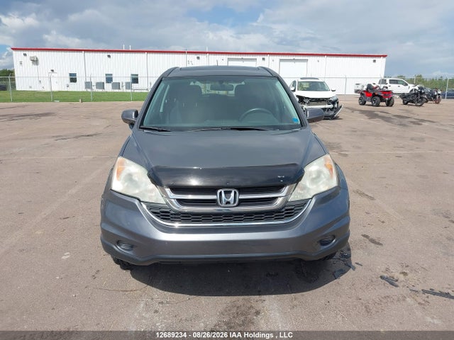 Продаж на аукціоні авто 2010 Honda Cr-v Ex, vin: 5J6RE4H5XAL817261, номер лоту: 12689234