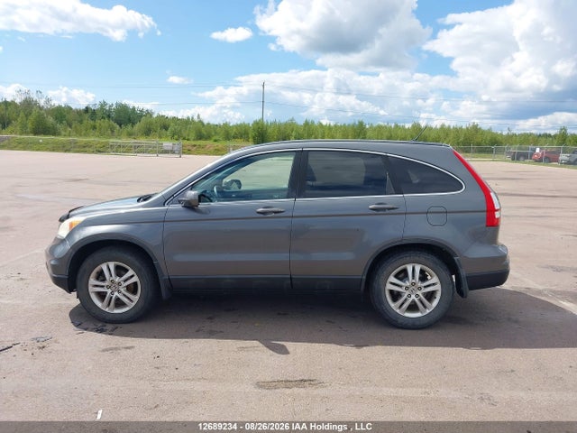 Продаж на аукціоні авто 2010 Honda Cr-v Ex, vin: 5J6RE4H5XAL817261, номер лоту: 12689234